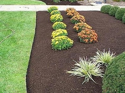 St Louis Landscaping Pros Fall Tips, St Louis Landscaping Companies