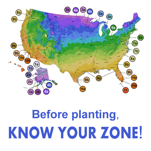 Best St Louis Landscaping Experts Plant Zones Map