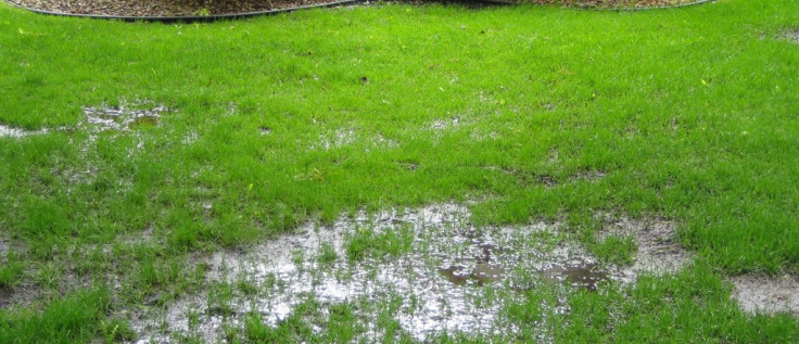 St Louis Landscaping Solutions For Wet And Soggy Ground