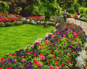 Flower Bed Planning from St Louis Environmental Landscaping