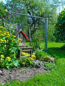 Unkept Flower Beds that Need Spade Edging Environmental Landscaping