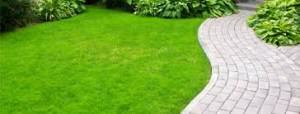 st-louis-lawn-care-specialists-environmental-landscaping