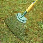 Chesterfield Landscaping Consultant St Louis Image of Rake