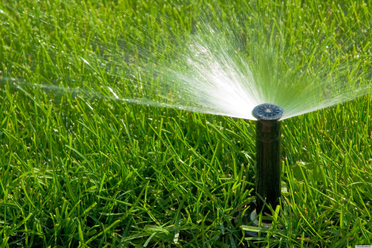 st  louis landscaping water lawns watering plants