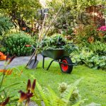fall-landscaping-yard-cleanup-wheelbarrow