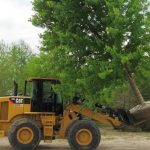 St Louis Tree Installation Experts