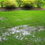 Maplewood Crestwood Oakville Fenton Landscaping Experts Soggy Grass